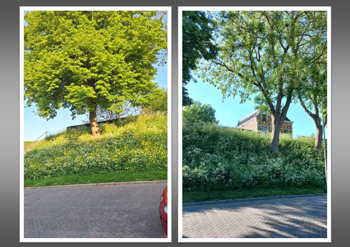 Foto 29 van Benedenrijweg 239