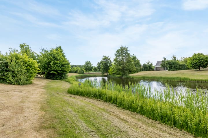 Foto 21 van Schutteheide 1-362