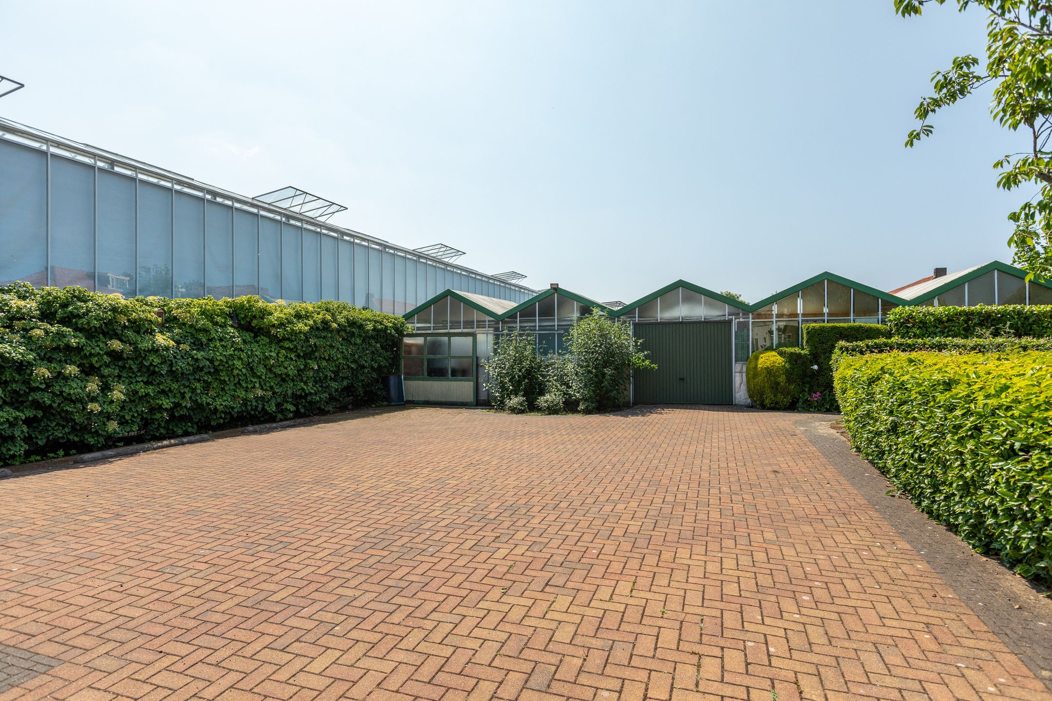 Foto 6 van Monsterseweg 80