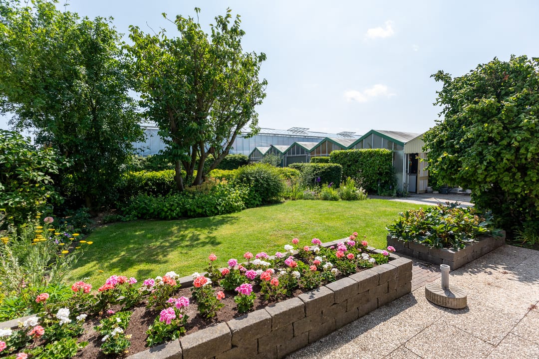 Foto 8 van Monsterseweg 80