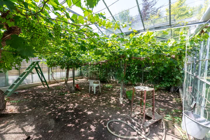 Foto 10 van Monsterseweg 80