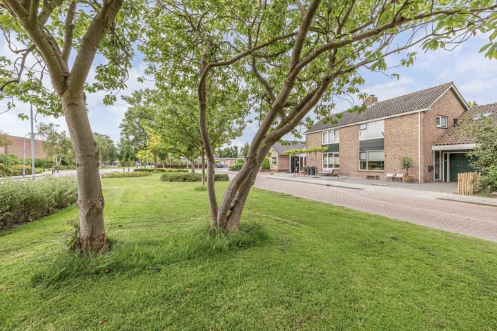 Foto 8 van Dokter Wilminkstraat 10