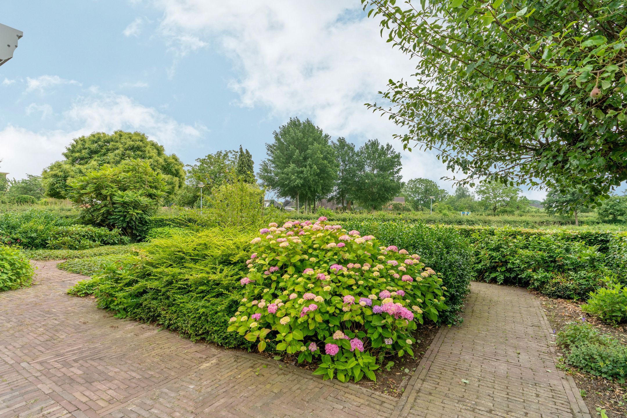 Foto 63 van Grietakkers 1