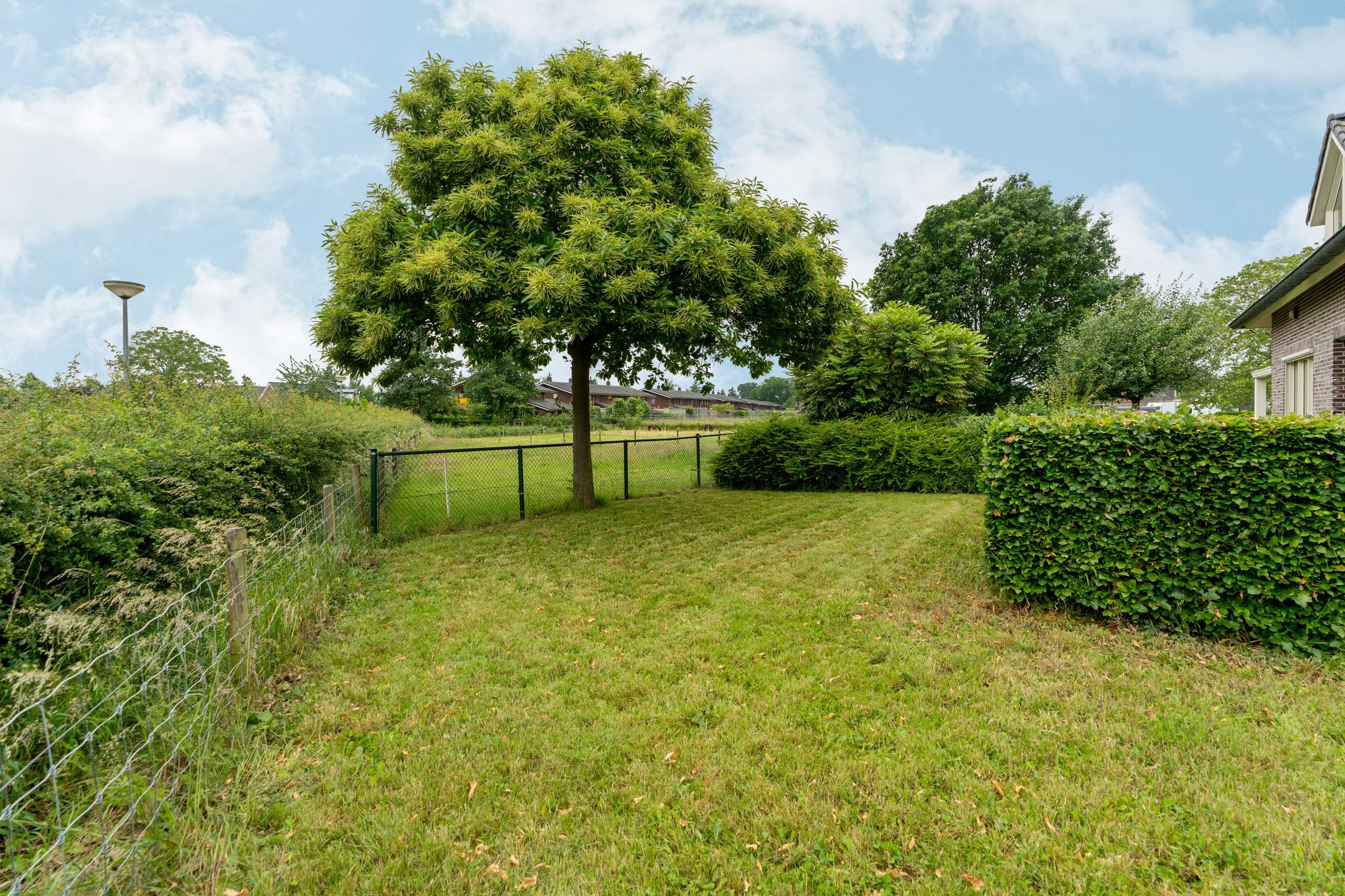 Foto 72 van Grietakkers 1