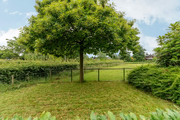 Foto 75 van Grietakkers 1