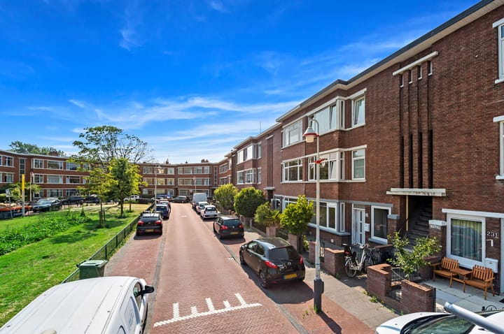 Foto 24 van Damasstraat 241