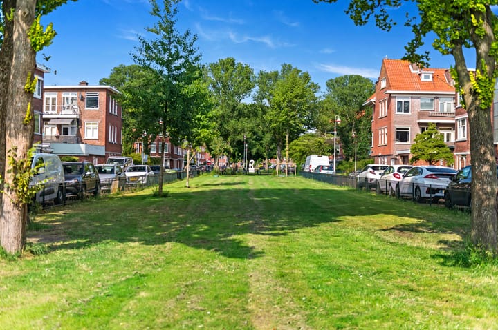 Foto 26 van Damasstraat 241