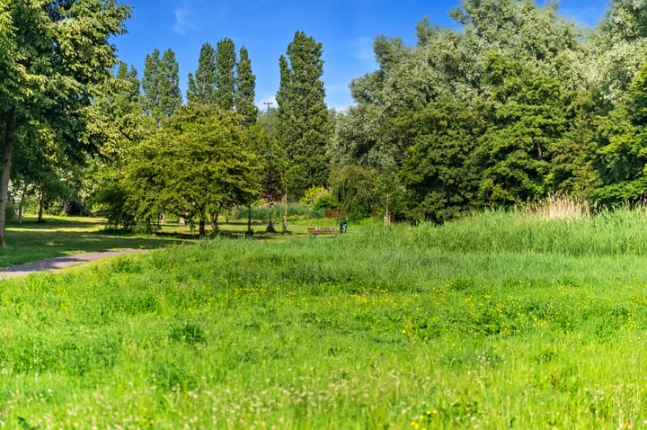 Foto 29 van Damasstraat 241