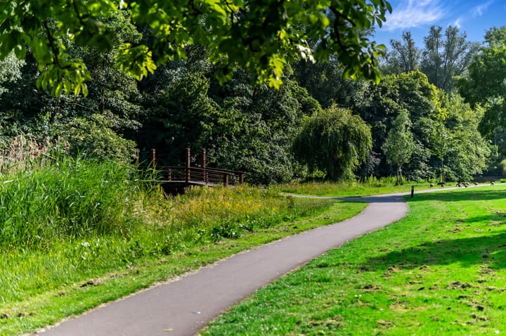 Foto 28 van Damasstraat 241