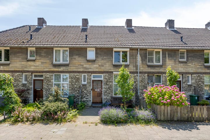 Foto 2 van Professor Moserstraat 17