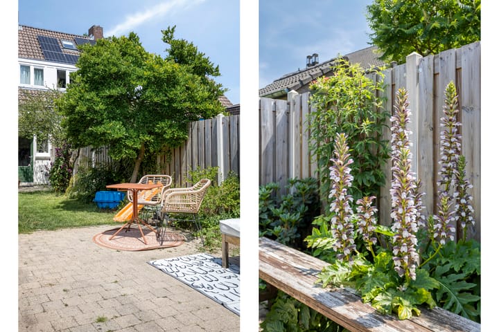 Foto 16 van Professor Moserstraat 17