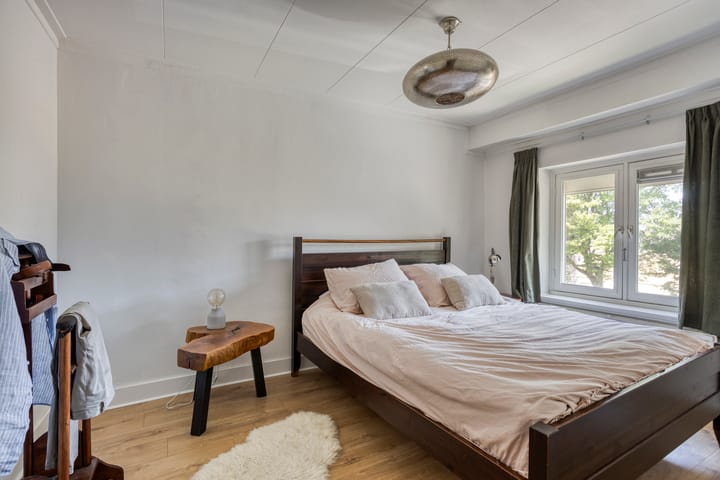 Foto 18 van Professor Moserstraat 17