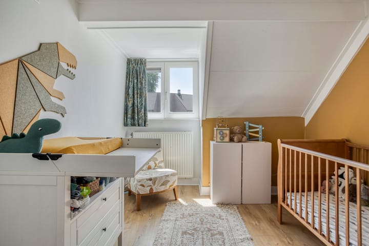 Foto 20 van Professor Moserstraat 17