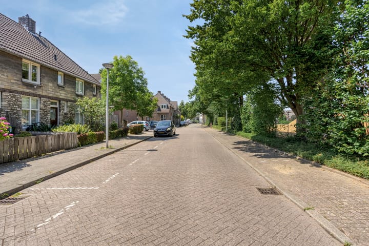 Foto 32 van Professor Moserstraat 17