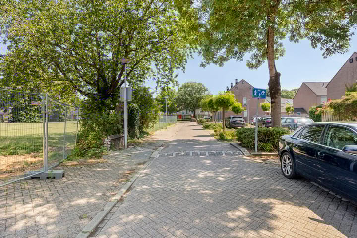 Foto 36 van Professor Moserstraat 17