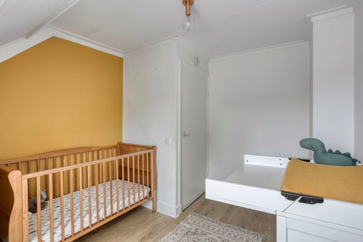 Foto 21 van Professor Moserstraat 17