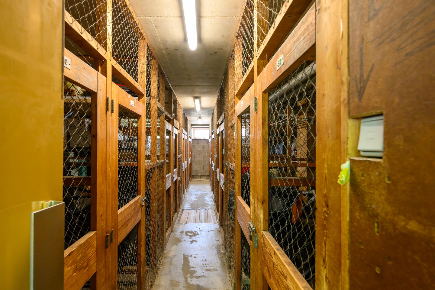 Foto 29 van Burgemeester Wapstraat 32