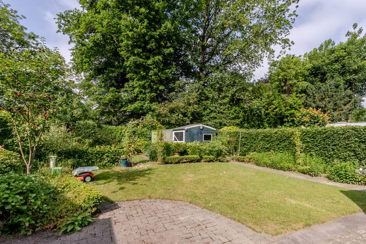 Photo 3 of Vogelkers 11