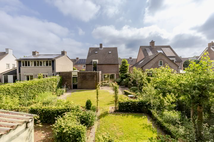 Photo 2 of Vogelkers 11