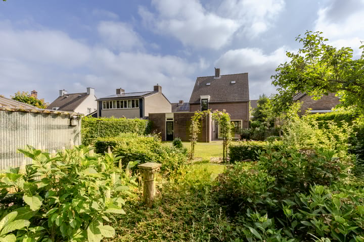 Photo 29 of Vogelkers 11