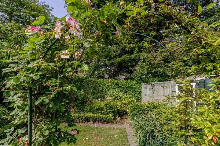 Photo 36 of Vogelkers 11