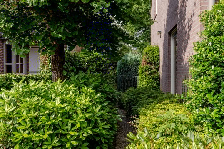 Photo 37 of Vogelkers 11