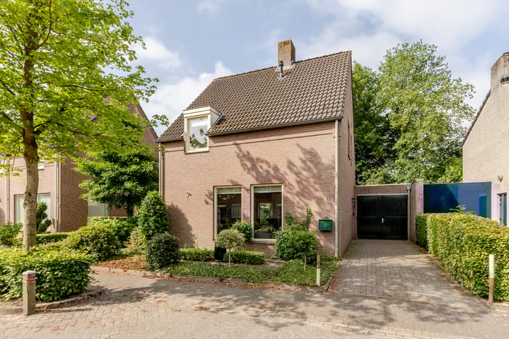 Photo 1 of Vogelkers 11