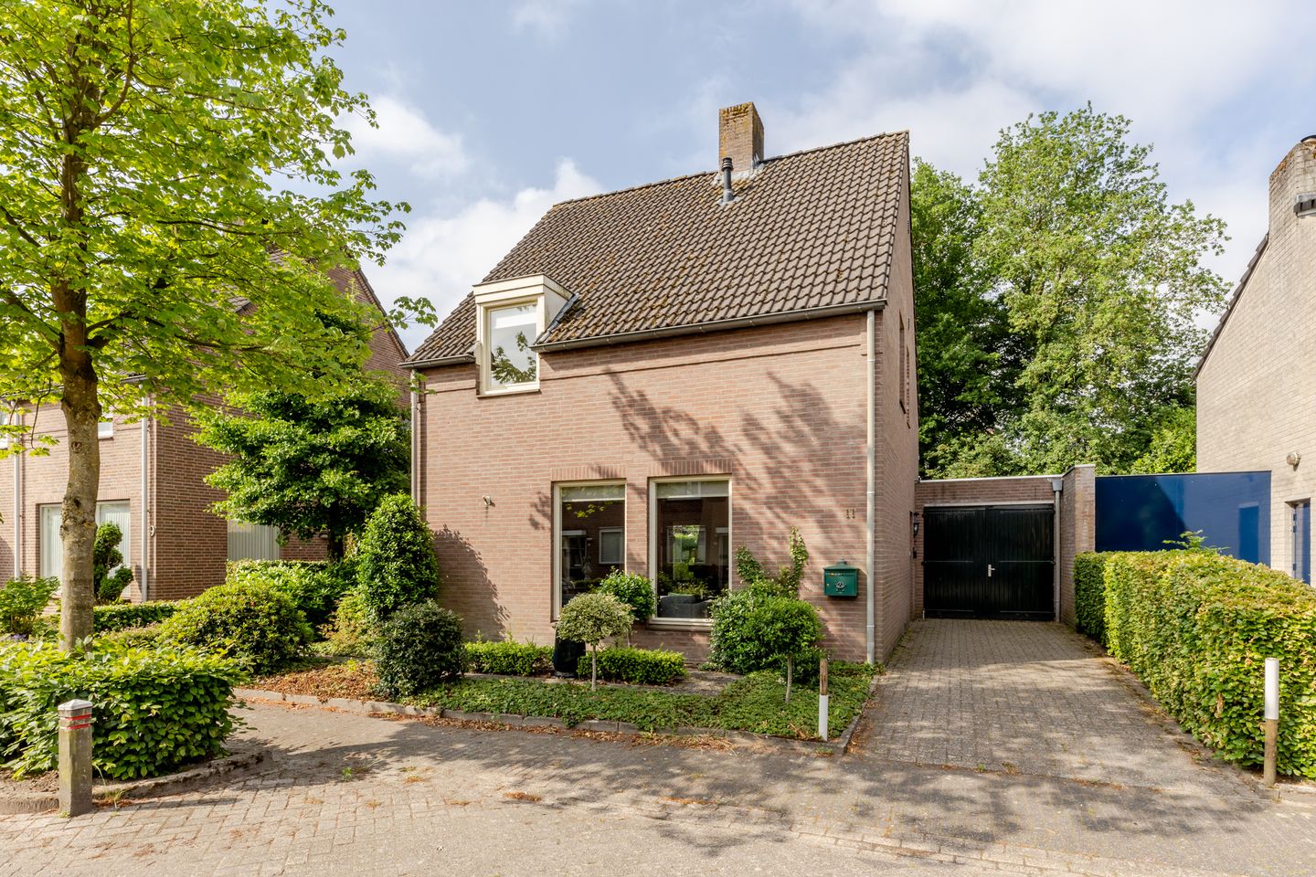 Photo 1 of Vogelkers 11