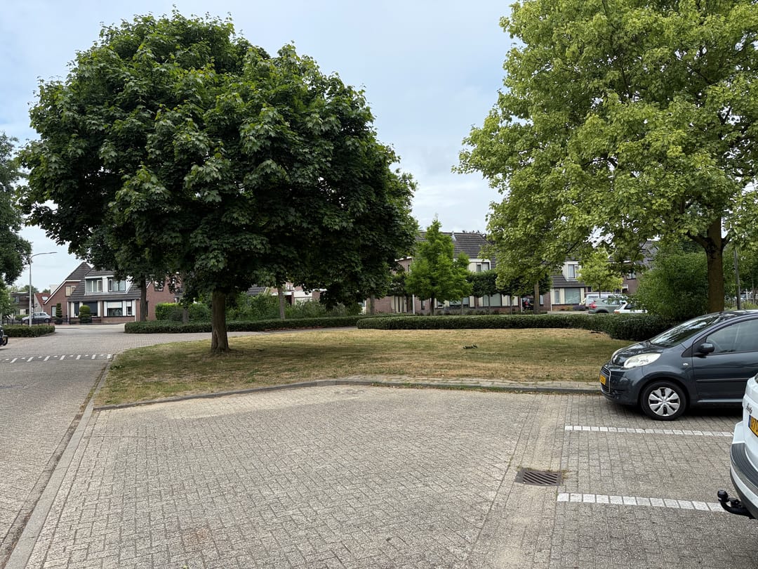 Foto 17 van Hegdambroek 1517