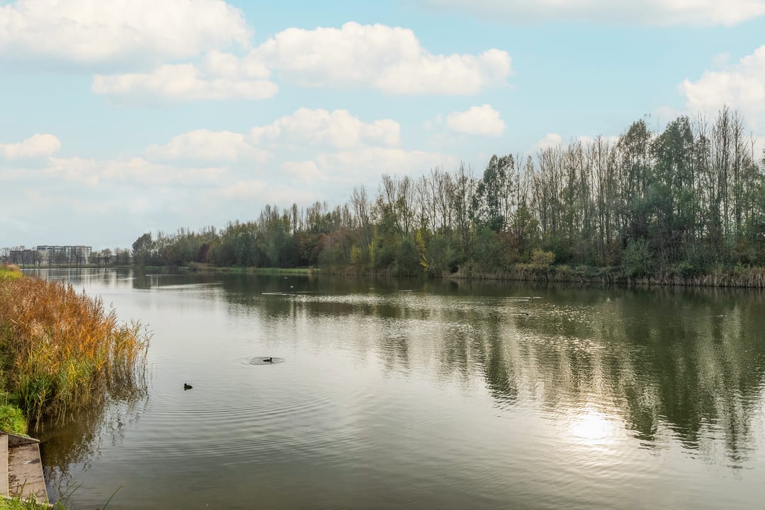 Foto 61 van Brons 78