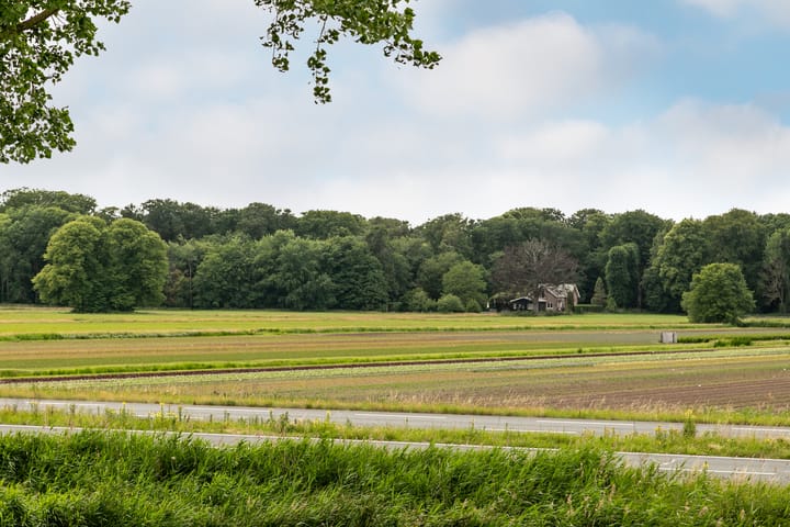 Foto 25 van Lorentzkade 316