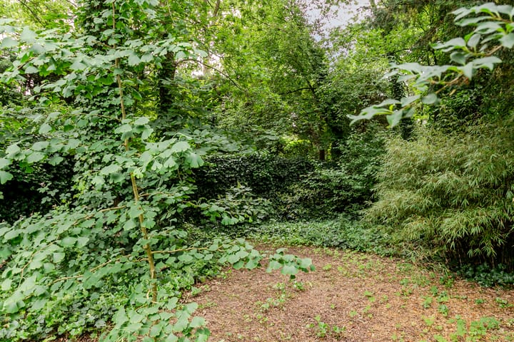 Photo 24 of Generaal Spoorlaan 25