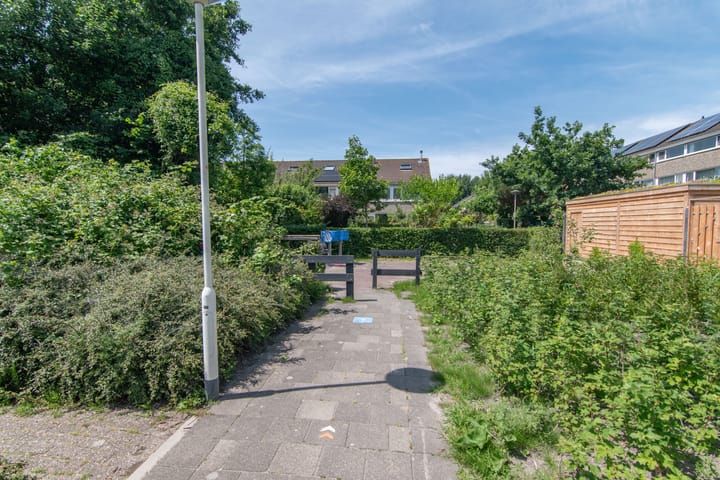 Foto 36 van Rozenwater 15