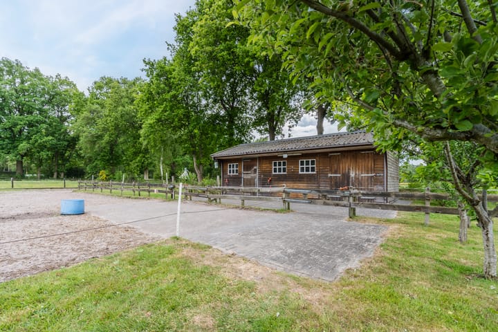 Foto 4 van Lijnland 2