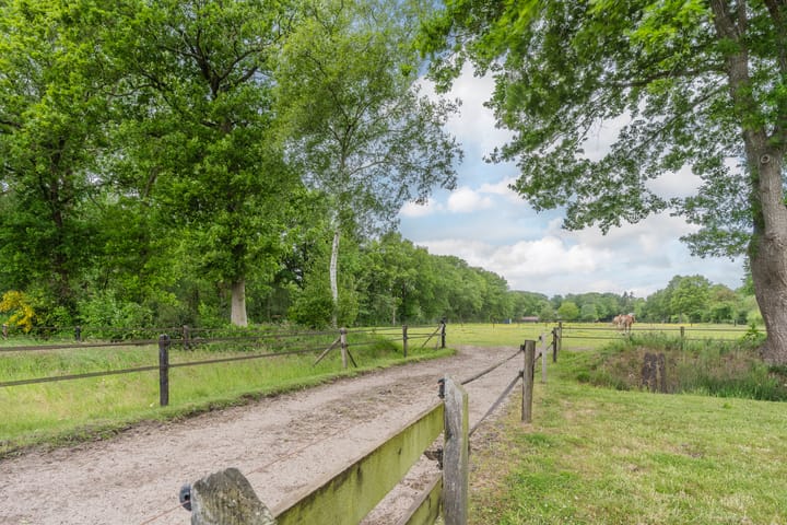 Foto 38 van Lijnland 2