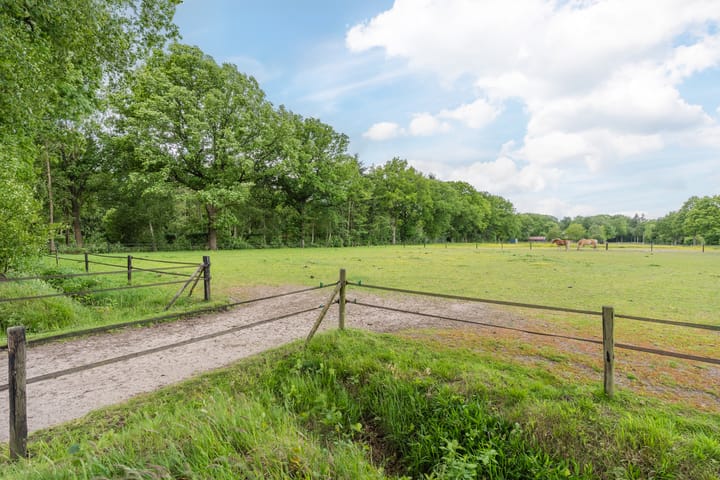 Foto 39 van Lijnland 2