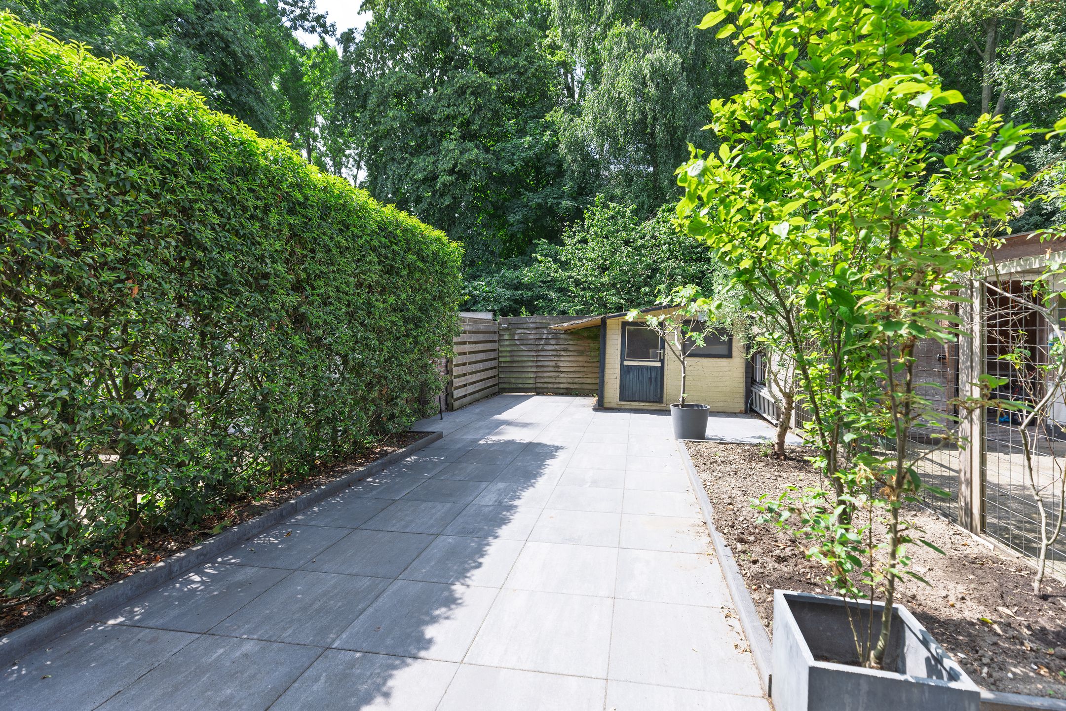 Foto 3 van Nooit Gedacht 84