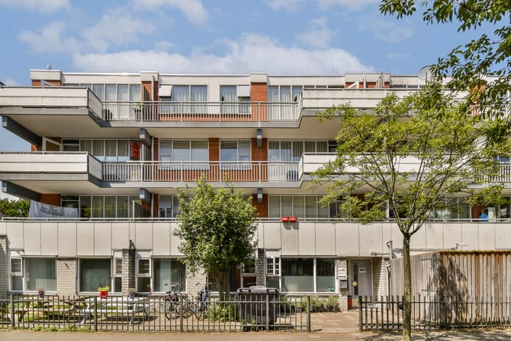 Foto 1 van Havikskruid 31