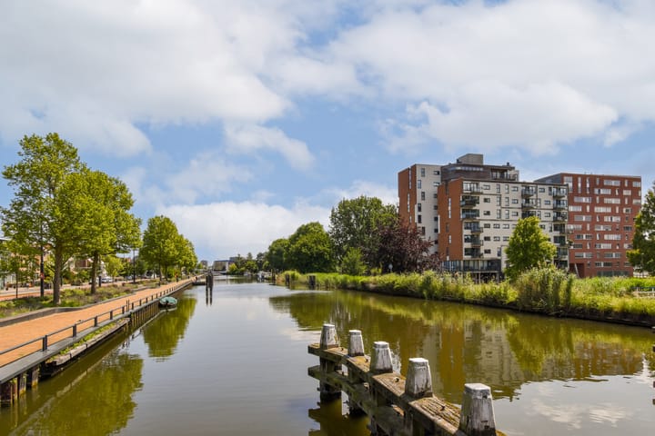 Foto 4 van Havikskruid 31