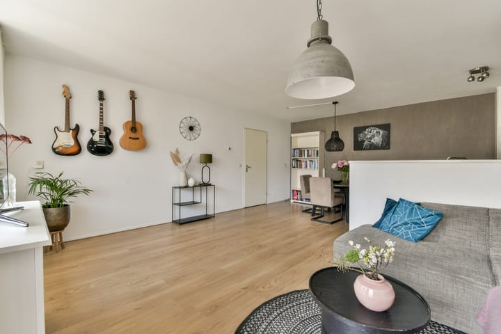 Foto 8 van Havikskruid 31