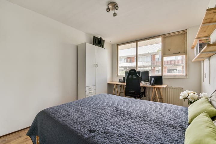 Foto 12 van Havikskruid 31