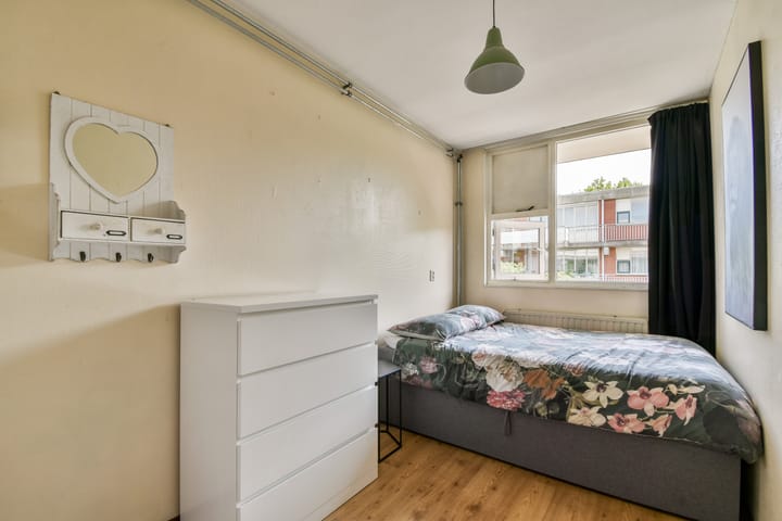 Foto 16 van Havikskruid 31