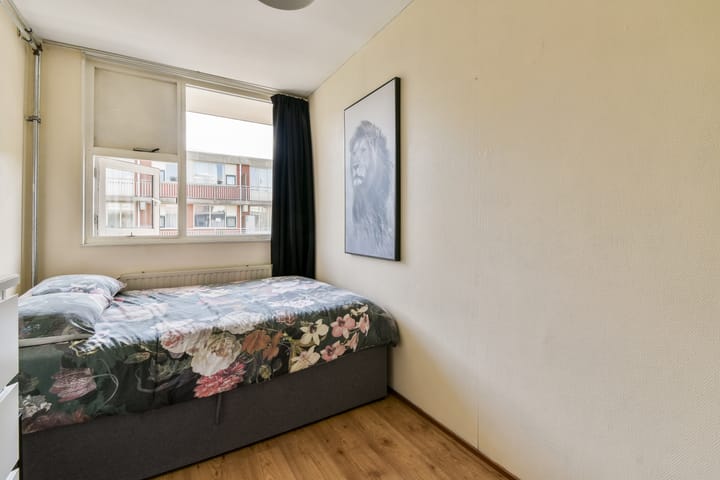 Foto 17 van Havikskruid 31