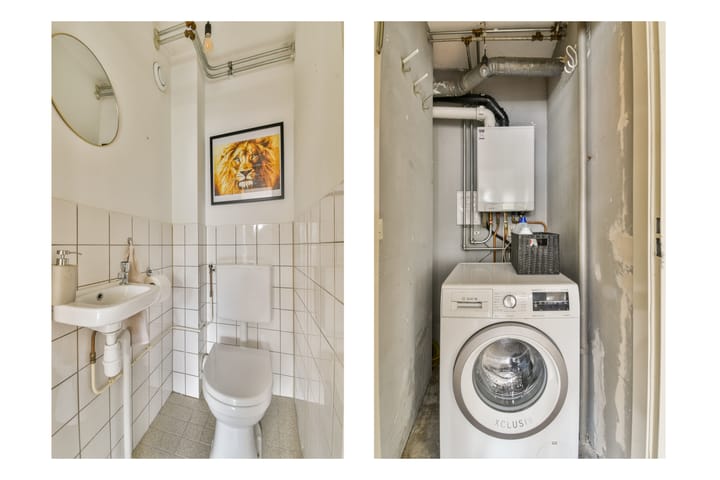 Foto 18 van Havikskruid 31