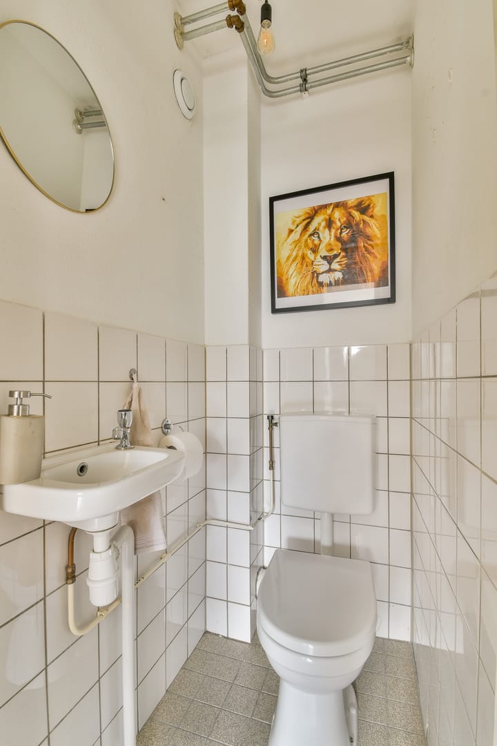 Foto 19 van Havikskruid 31