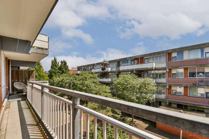 Foto 11 van Havikskruid 31