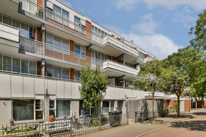 Foto 22 van Havikskruid 31