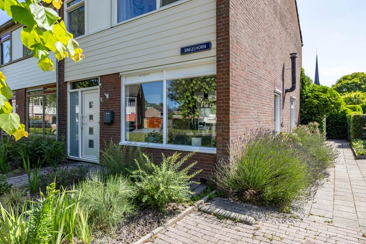 Foto 49 van Singelhorn 1