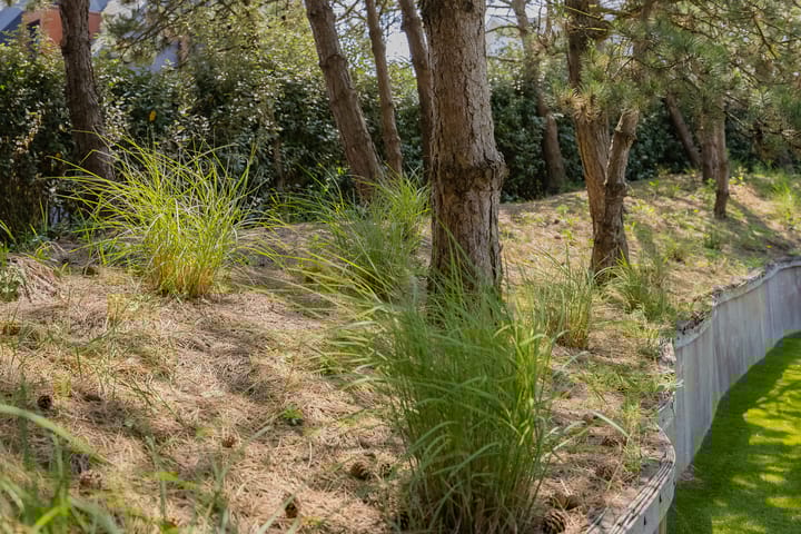 Foto 36 van Boerhaaveweg 30