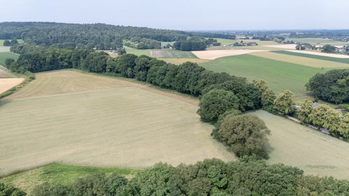 Foto 4 van Braamweg 5